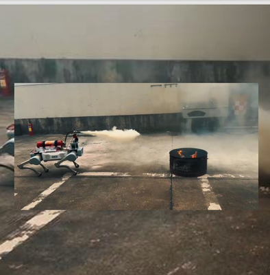 Hauteur des marches/obstacles 20 cm Équipement de police antiémeute pour les forces de l'ordre