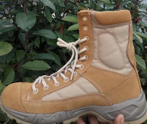 Une chaussure de combat, une chaussure tactique, une chaussure militaire.